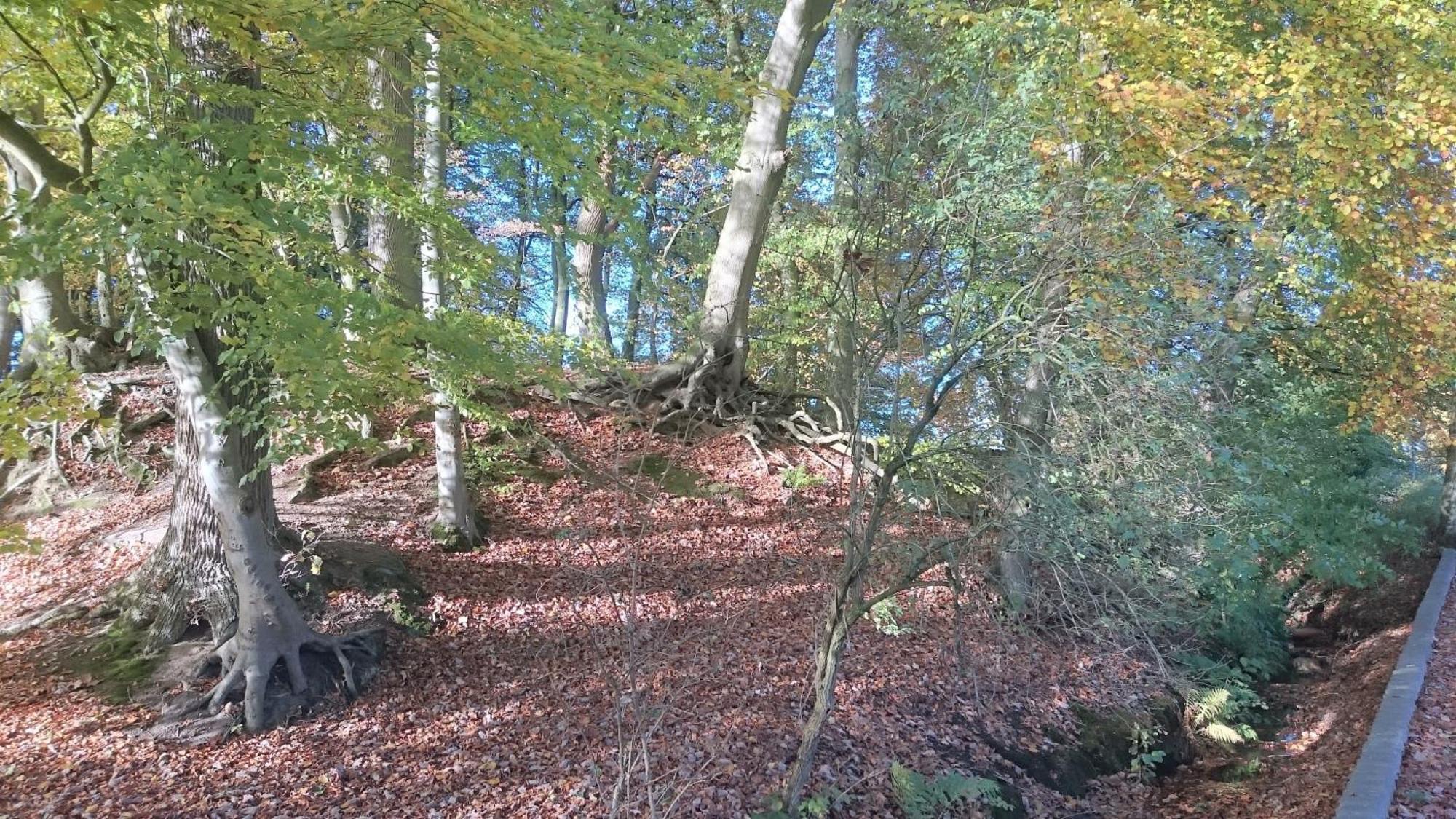 Mobilheim Am See Wittenborn Bagian luar foto